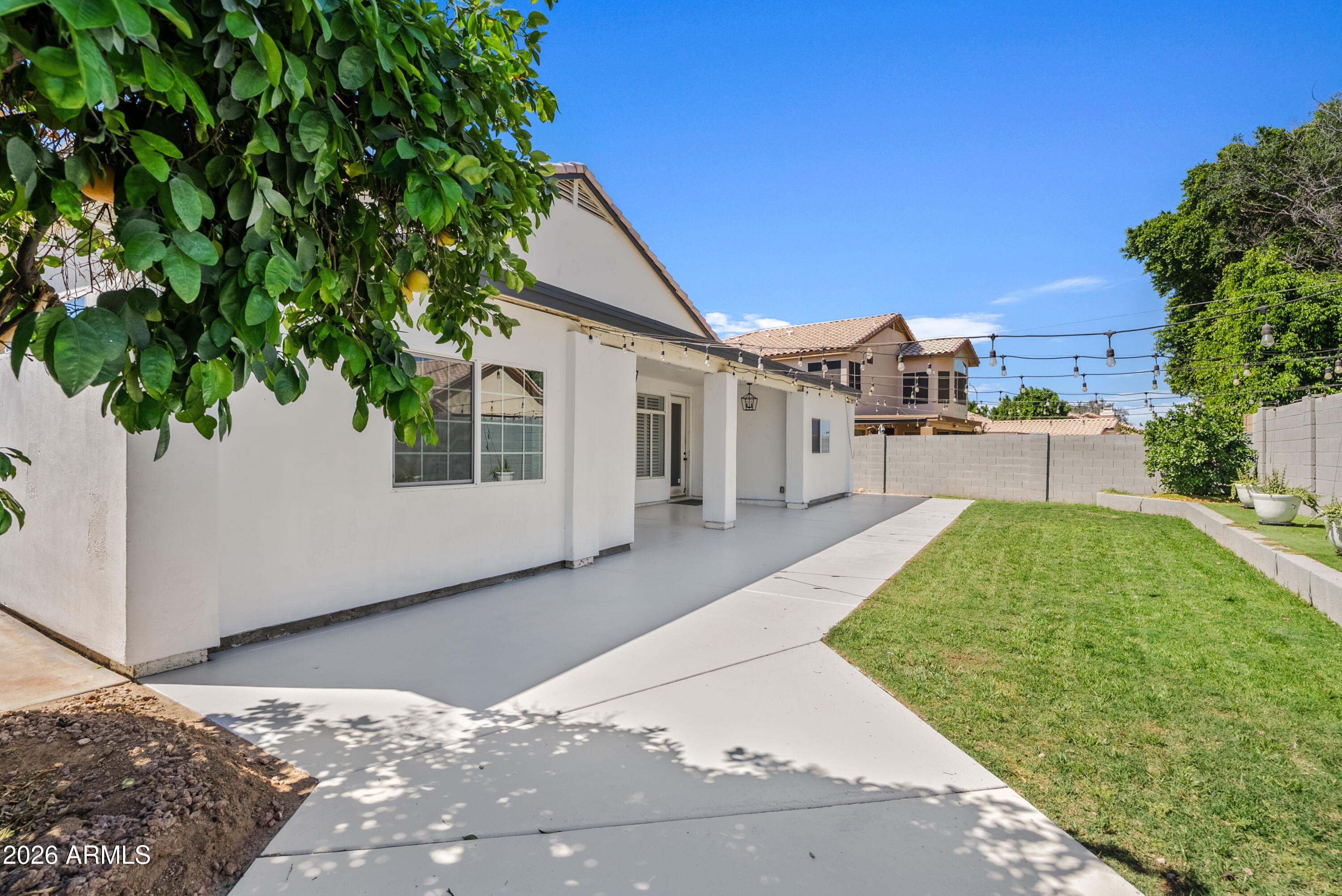 6550 East Roland Street Mesa, AZ 85215 - Photo 33 of 34 Backyard