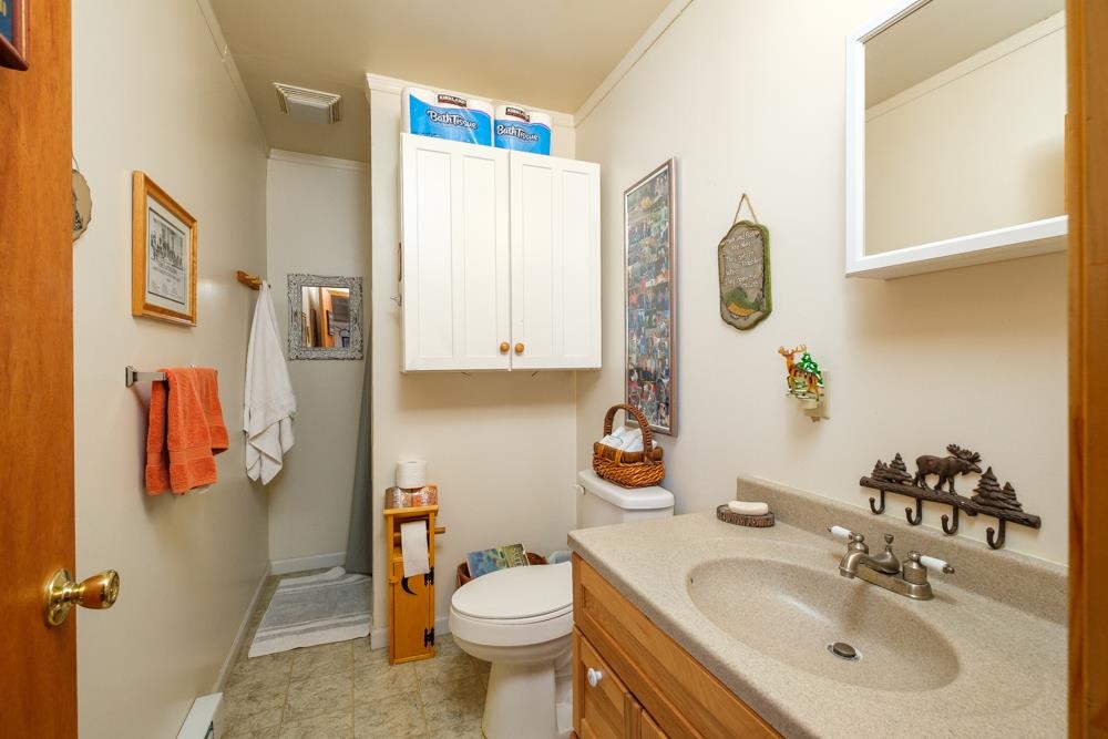 23215 Bennett Run Road Bergton, VA 22811 - Photo 14 of 19 a bathroom with a sink toilet and shower