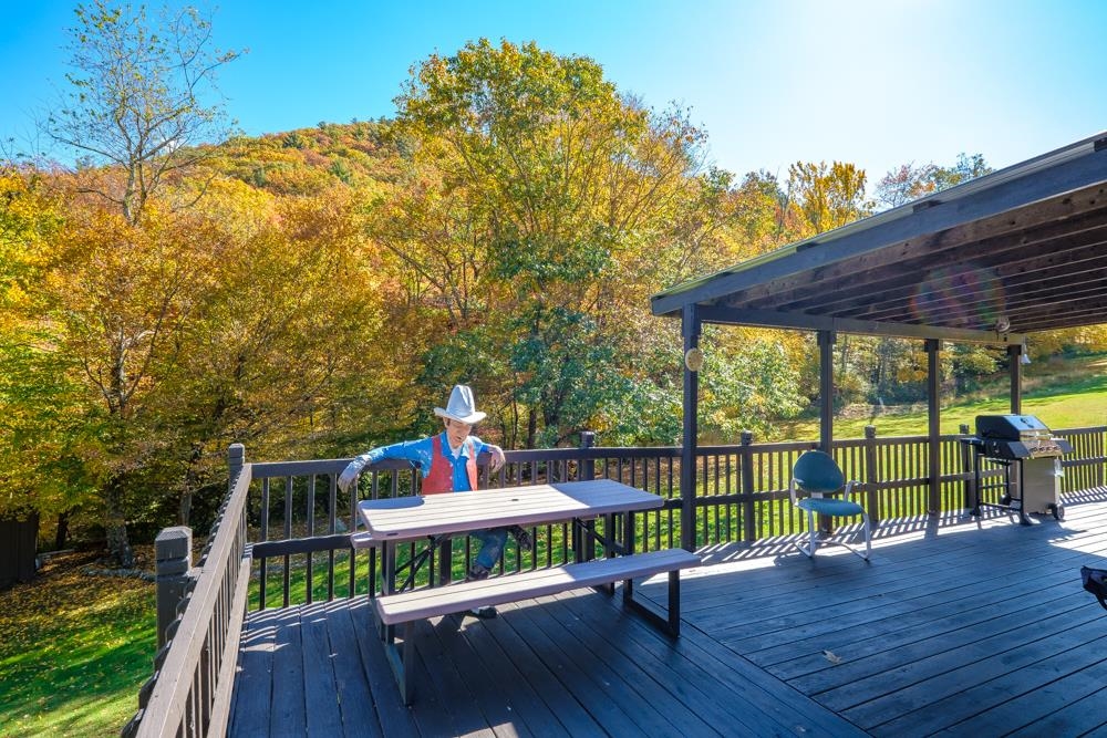 23215 Bennett Run Road Bergton, VA 22811 - Photo 18 of 19 a view of deck with furniture and garden