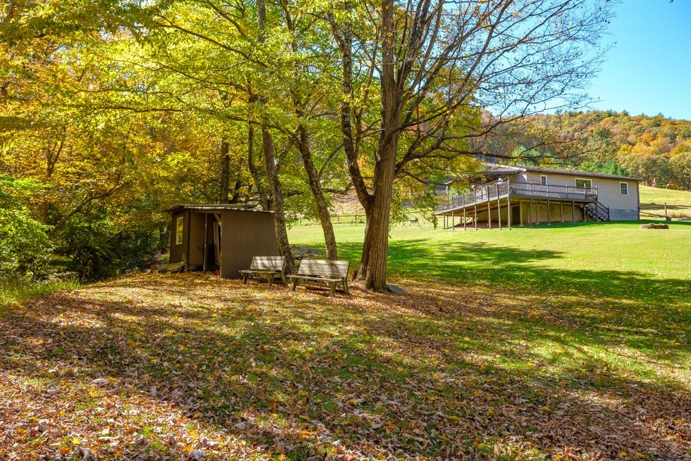 23215 Bennett Run Road Bergton, VA 22811 - Photo 8 of 19 a view of a yard with a house and large trees