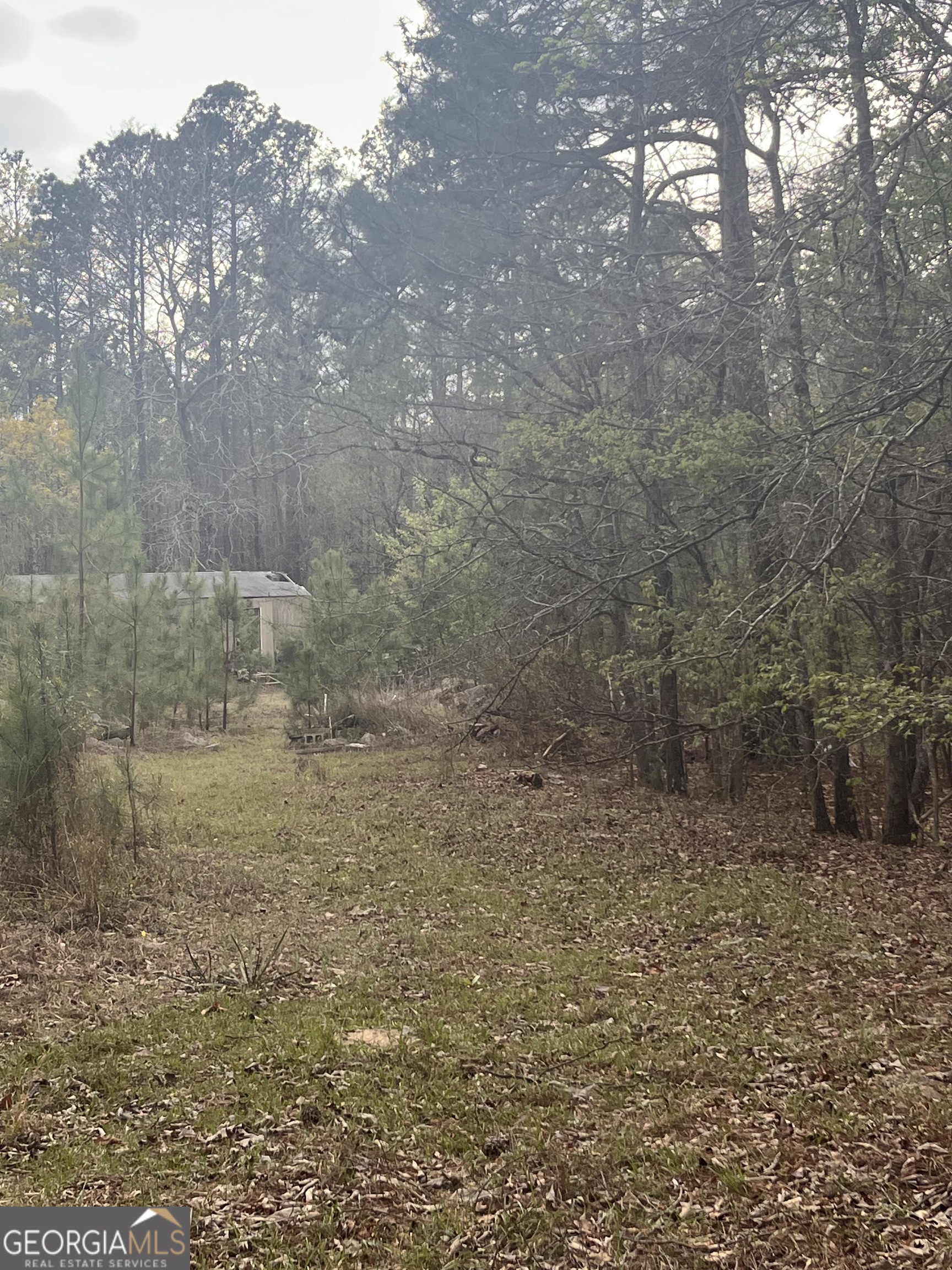 106 Missed Lane Sparta, GA 31087 - Photo 1 of 16