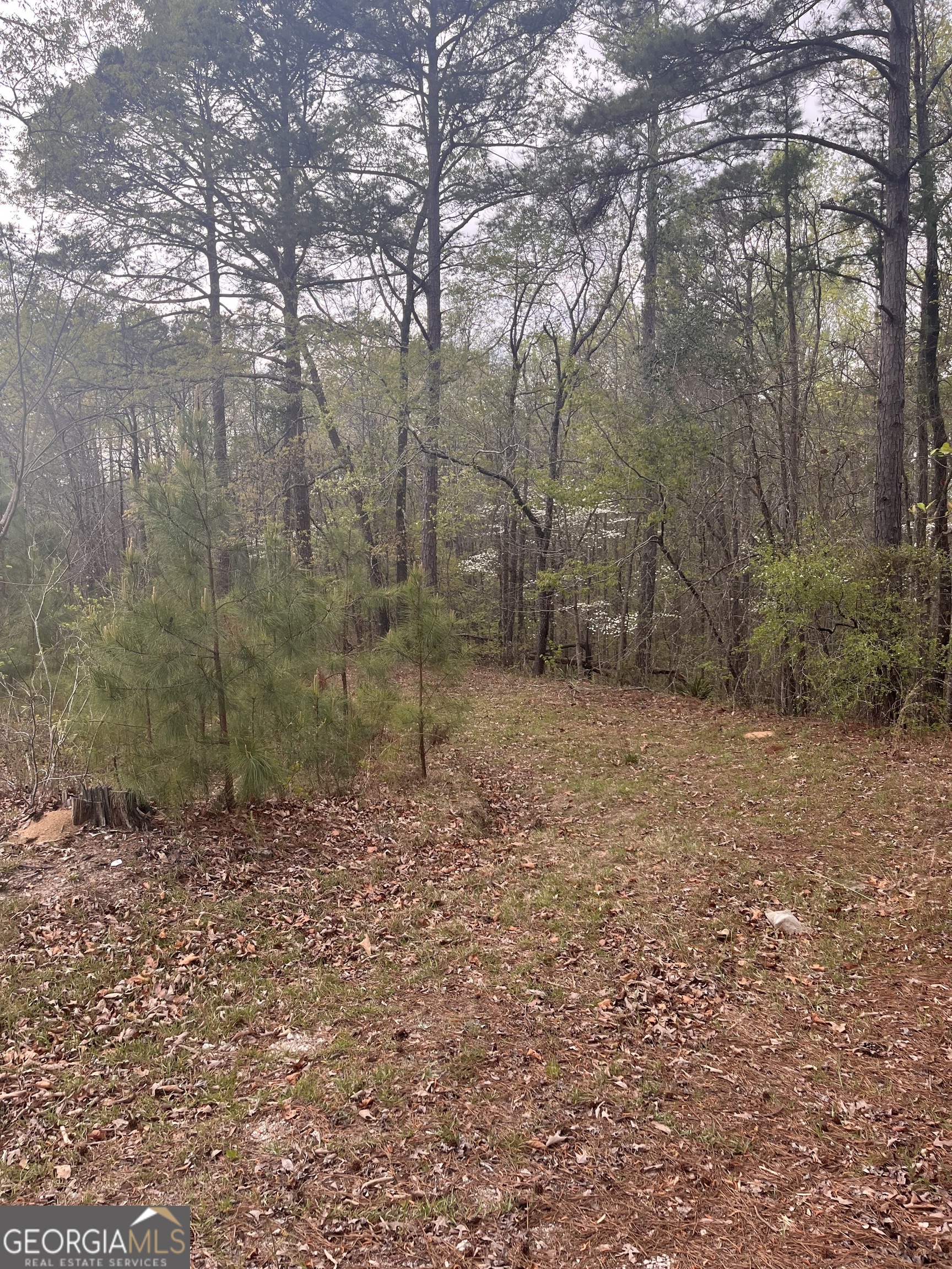 106 Missed Lane Sparta, GA 31087 - Photo 14 of 16