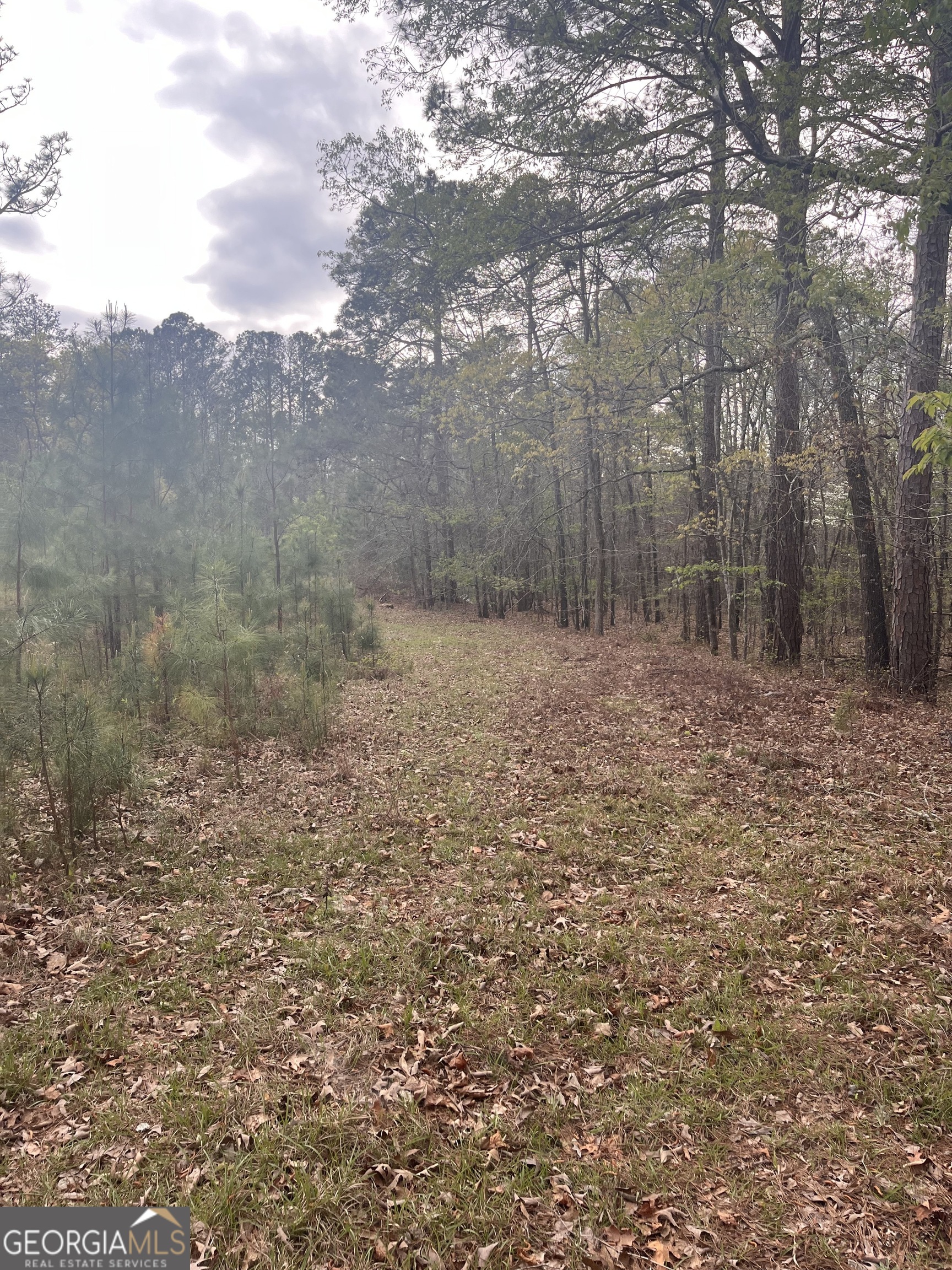 106 Missed Lane Sparta, GA 31087 - Photo 2 of 16