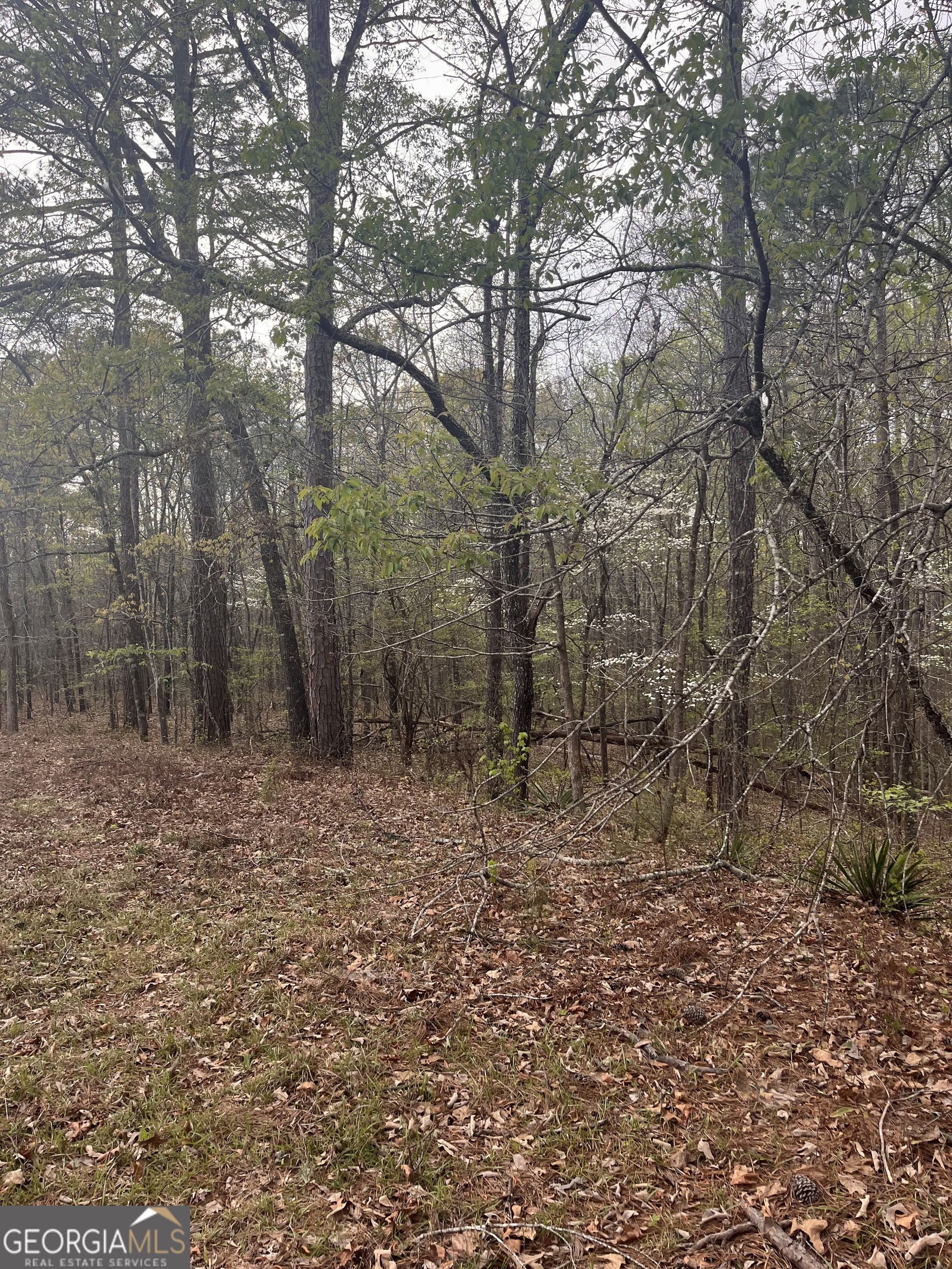 106 Missed Lane Sparta, GA 31087 - Photo 3 of 16
