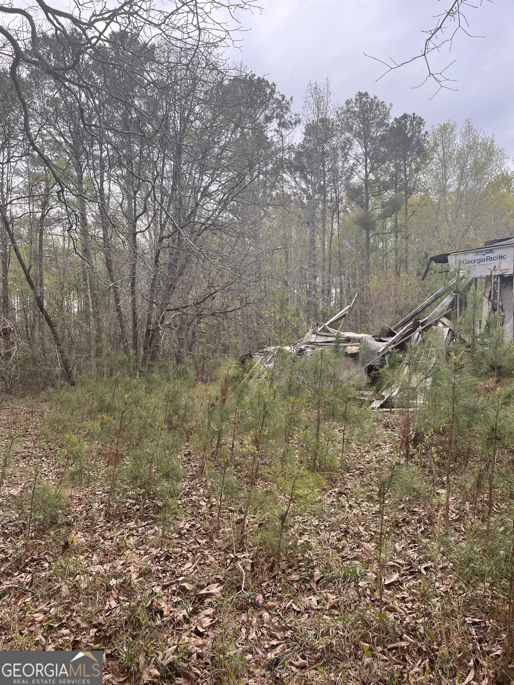 106 Missed Lane Sparta, GA 31087 - Photo 4 of 16