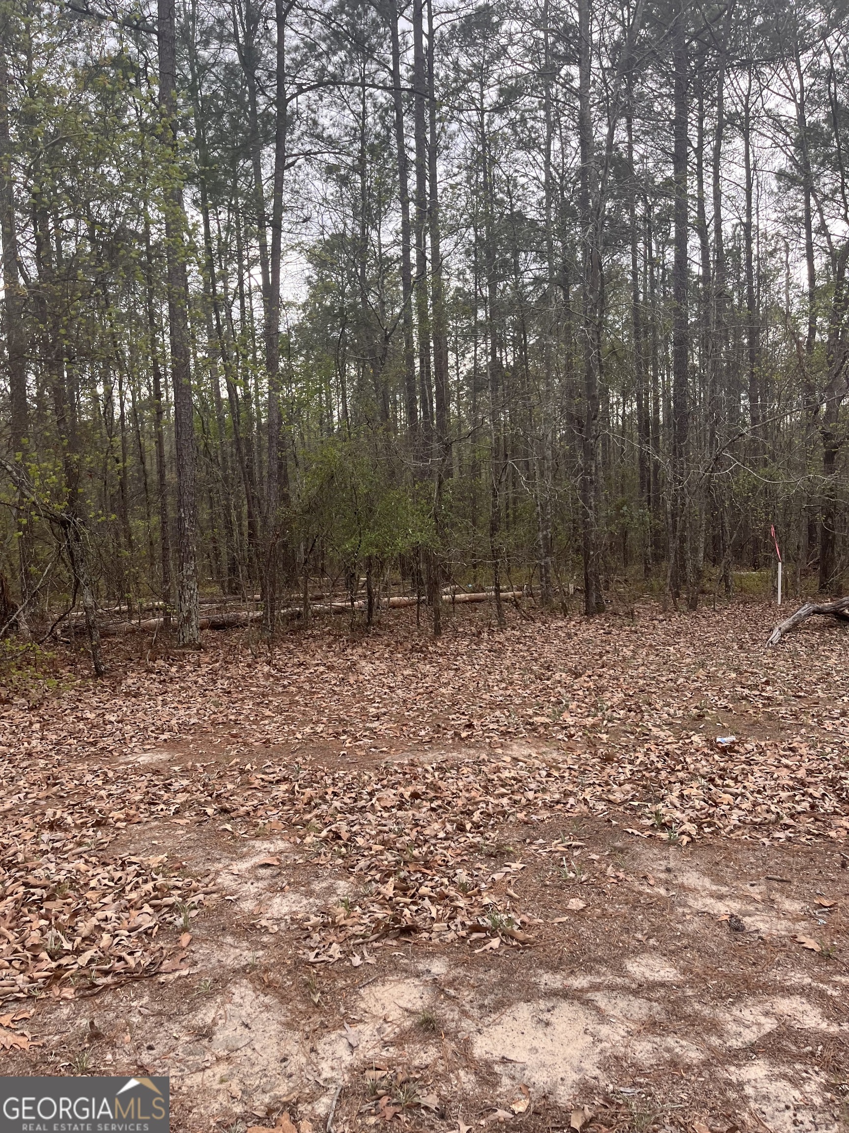 106 Missed Lane Sparta, GA 31087 - Photo 10 of 16