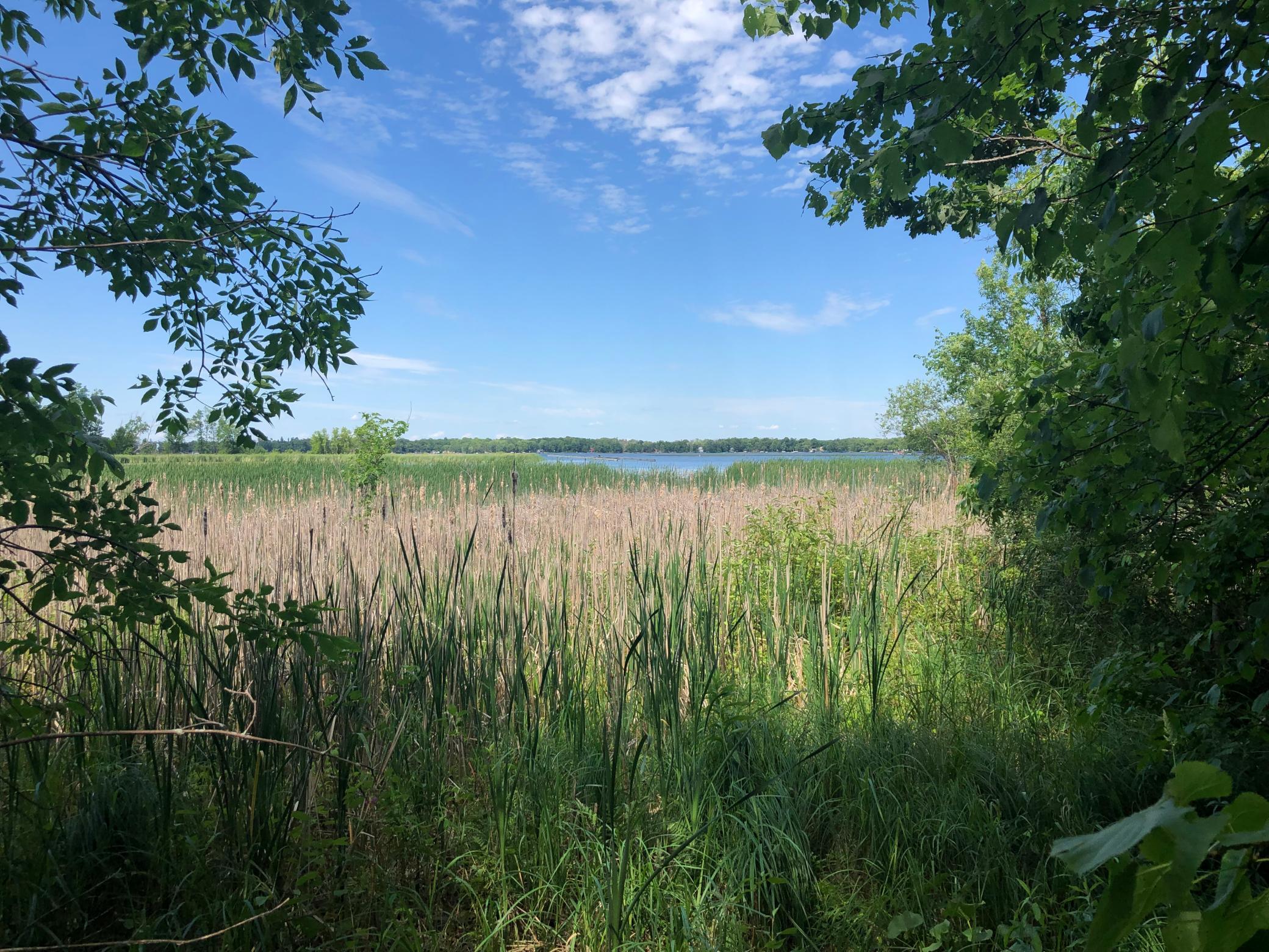 Tbd 388th Street Onamia, MN 56359 - Photo 16 of 43