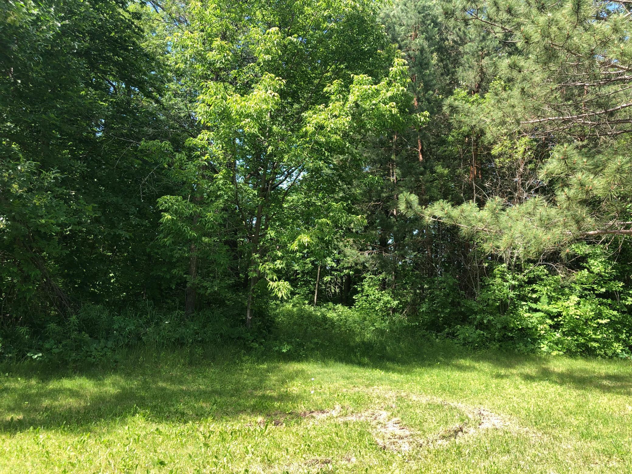 Tbd 388th Street Onamia, MN 56359 - Photo 18 of 43