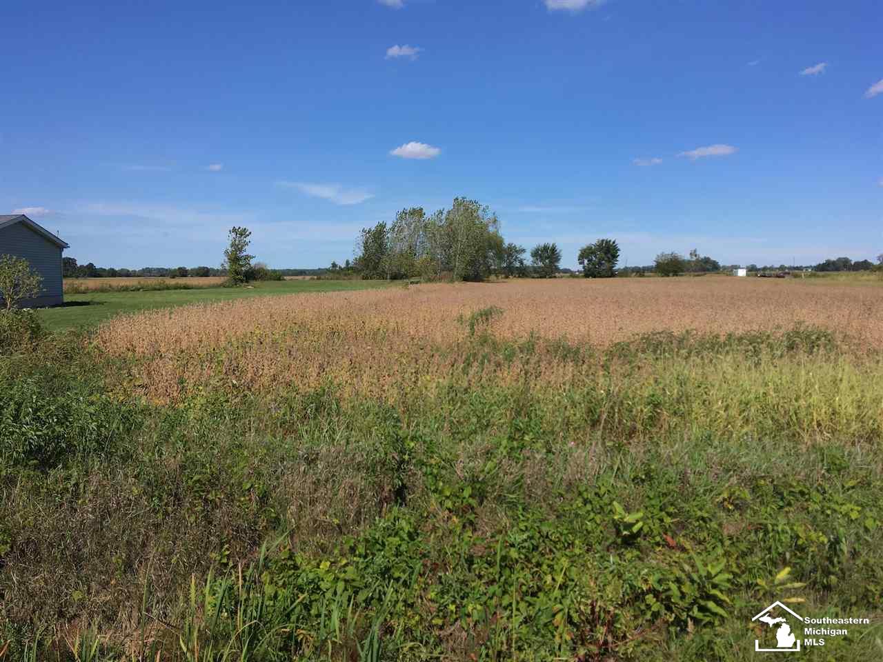 0 West Dunbar Road Monroe, MI 48161 - Photo 1 of 6