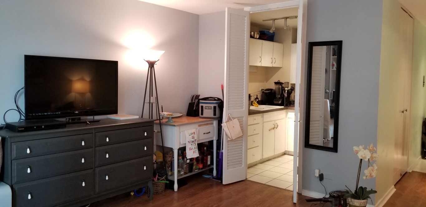 21 West Goethe Street, Unit 7C Chicago, IL 60610 - Photo 13 of 24 a room with furniture and flat screen tv