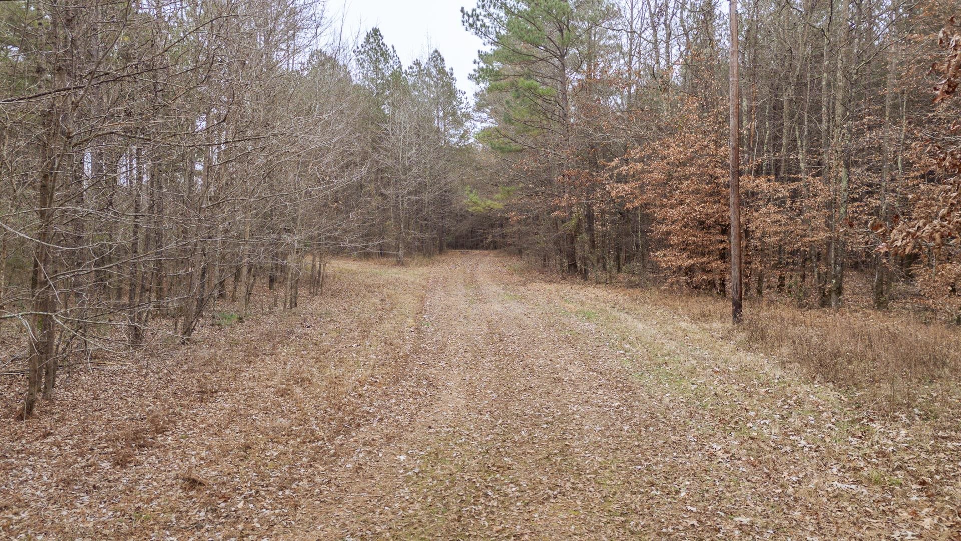 10970 Peavine Road Pocahontas, TN 38061 - Photo 20 of 26
