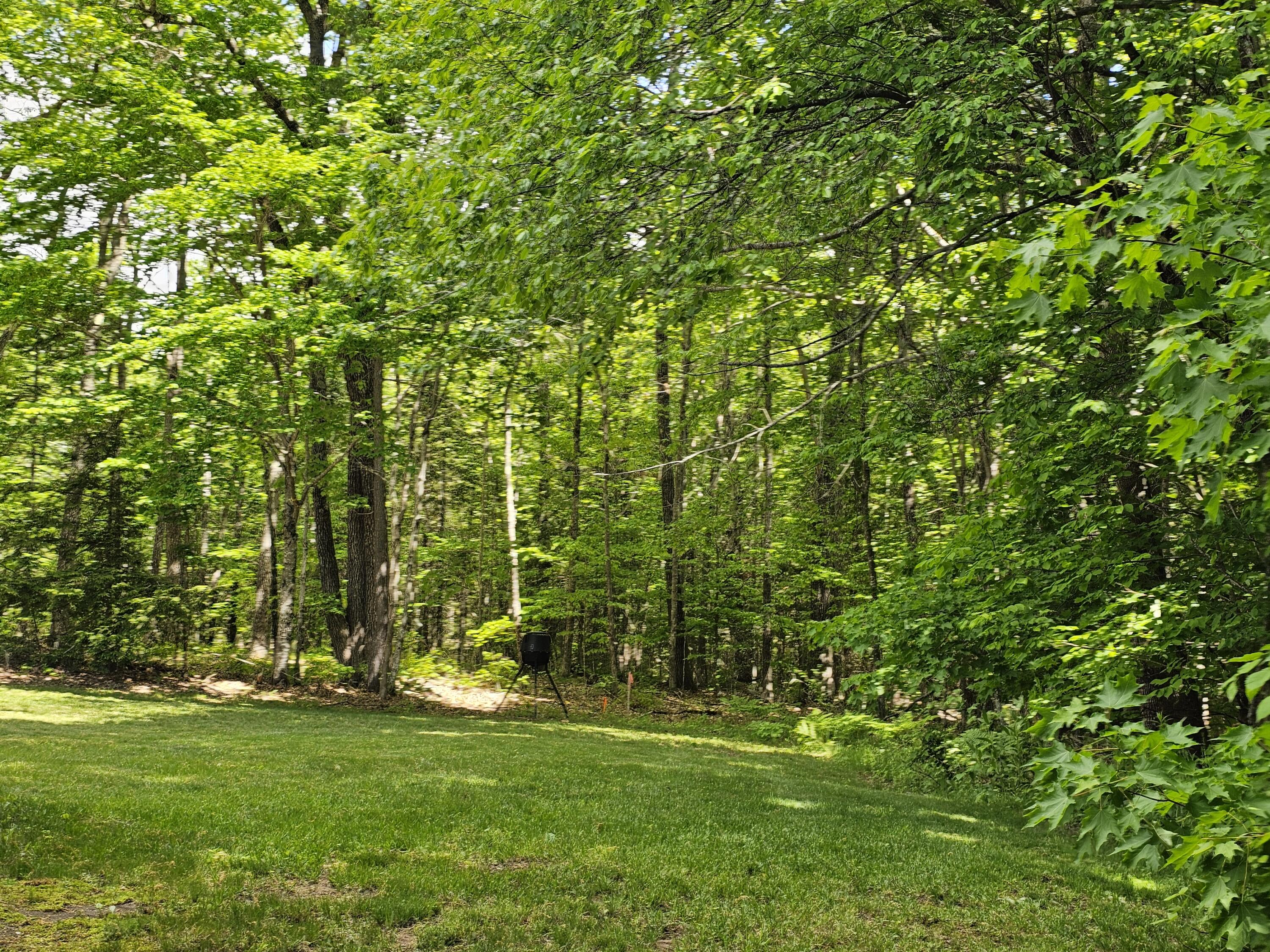 34 Carsley Road Harrison, ME 04040 - Photo 46 of 47 20260529_110007