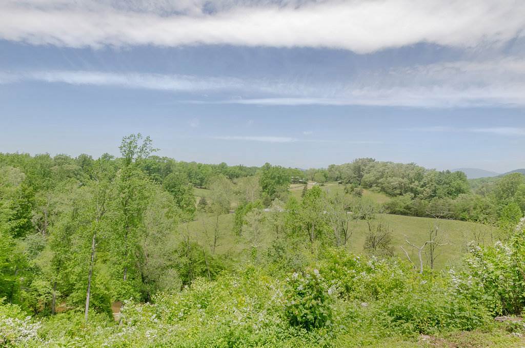 3354 Free Union Road Charlottesville, VA 22901 - Photo 35 of 45 a view of a lake with a yard