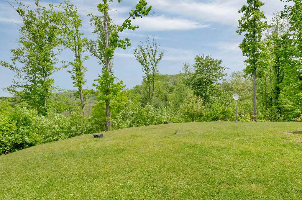 3354 Free Union Road Charlottesville, VA 22901 - Photo 36 of 45 a view of an outdoor space and a yard