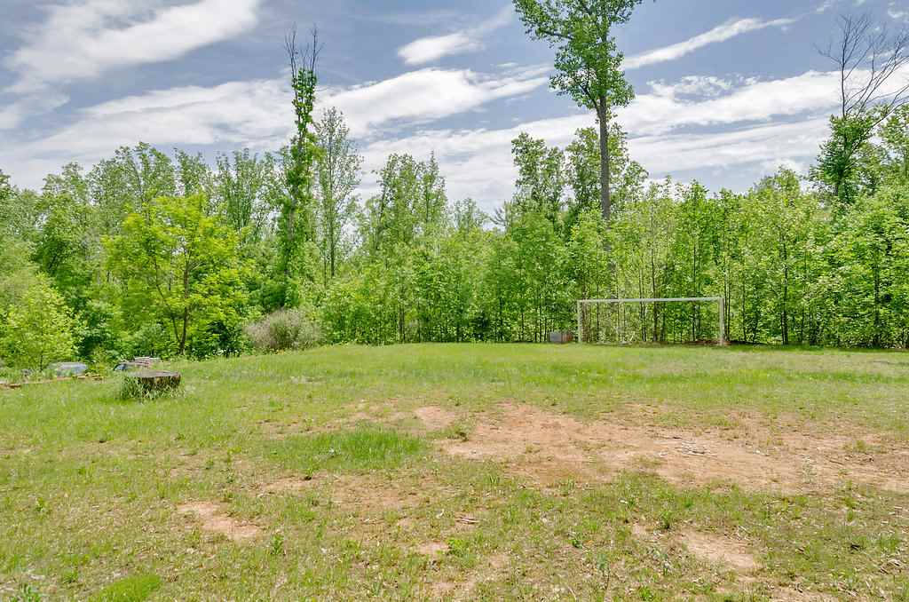 3354 Free Union Road Charlottesville, VA 22901 - Photo 38 of 45 a view of a field with a tree