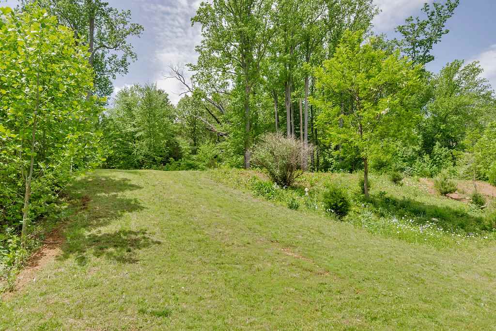 3354 Free Union Road Charlottesville, VA 22901 - Photo 41 of 45 a view of yard with green space