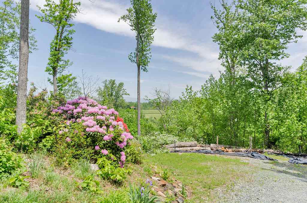 3354 Free Union Road Charlottesville, VA 22901 - Photo 42 of 45 a view of a garden with a fountain