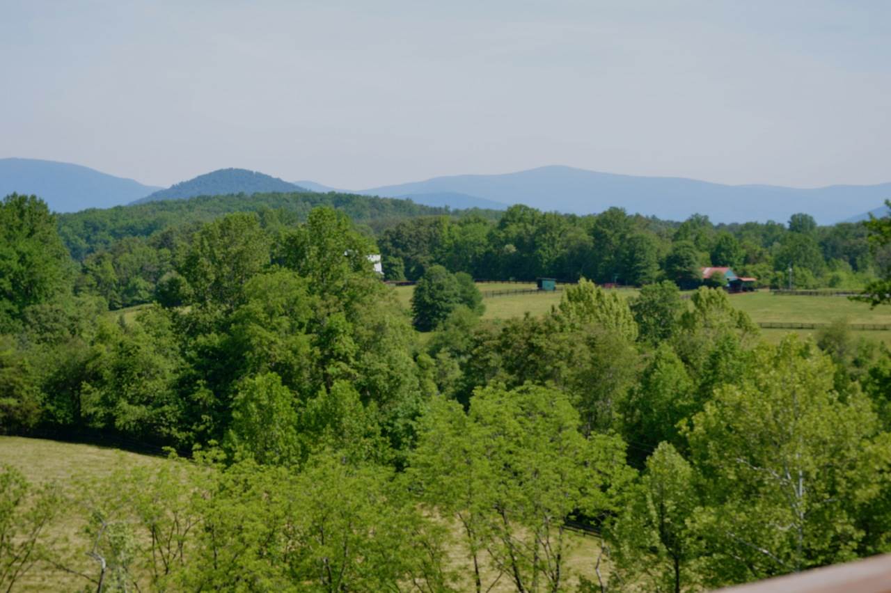 3354 Free Union Road Charlottesville, VA 22901 - Photo 44 of 45 a view of a green field with lots of bushes