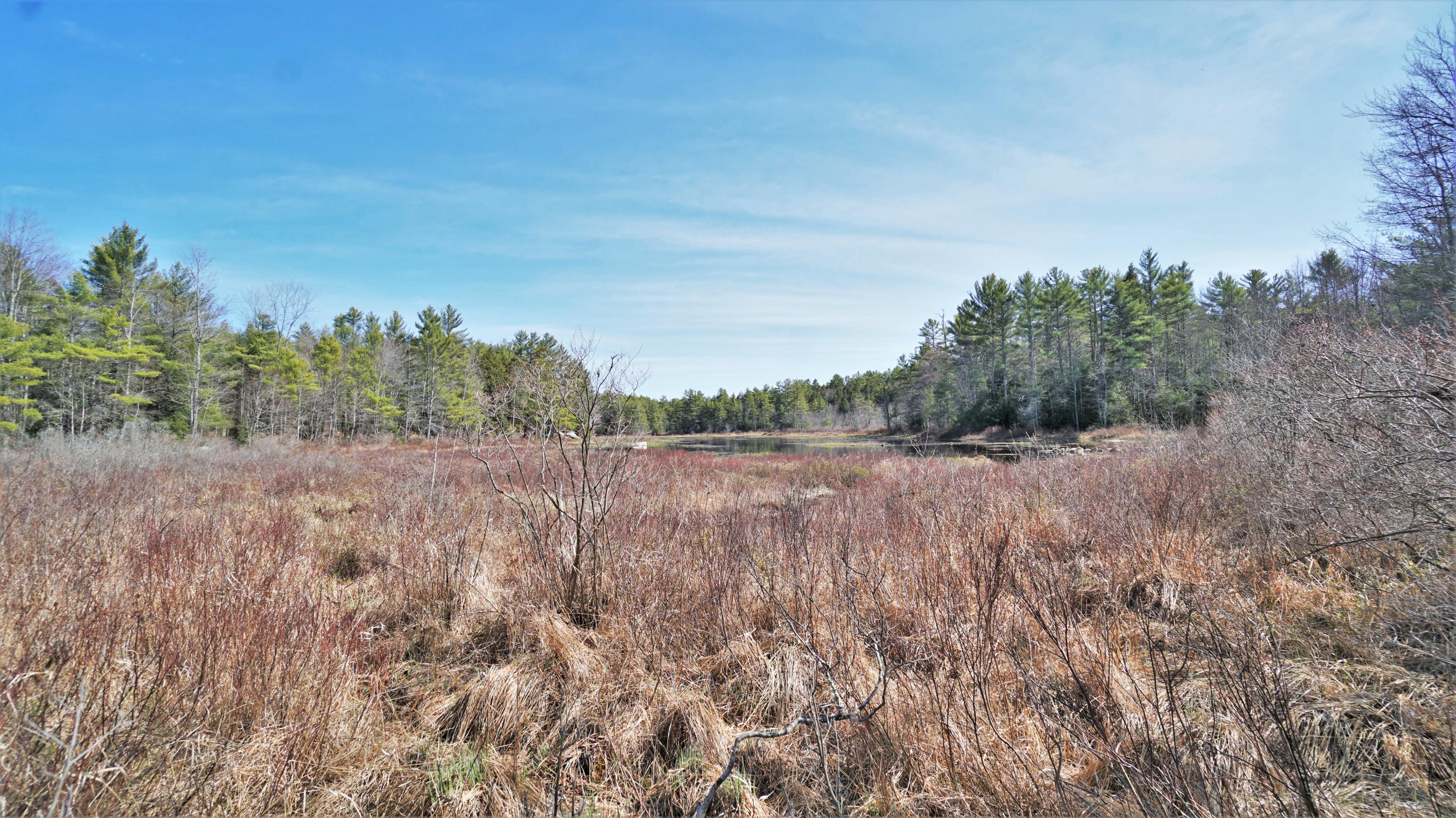 19 Edgecomb Road Acton, ME 04001 - Photo 9 of 21 DSC02793