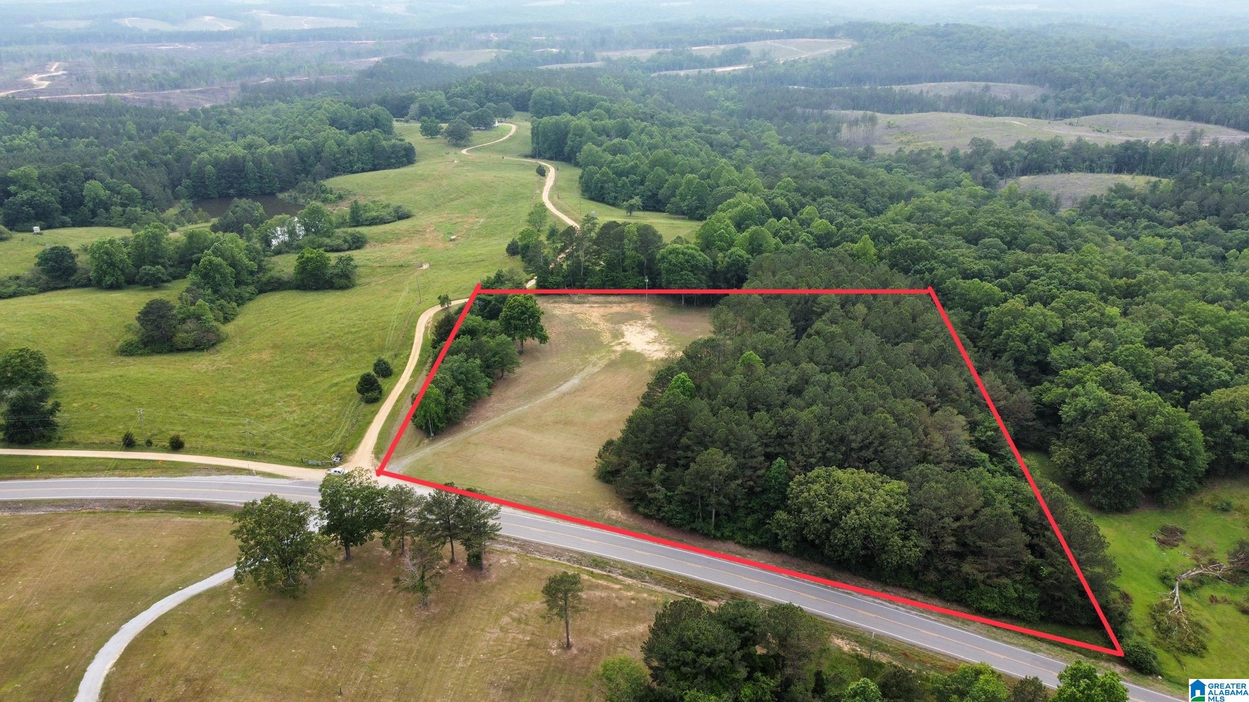 22909 Highway 195 Double Springs, AL 35553 - Photo 10 of 19