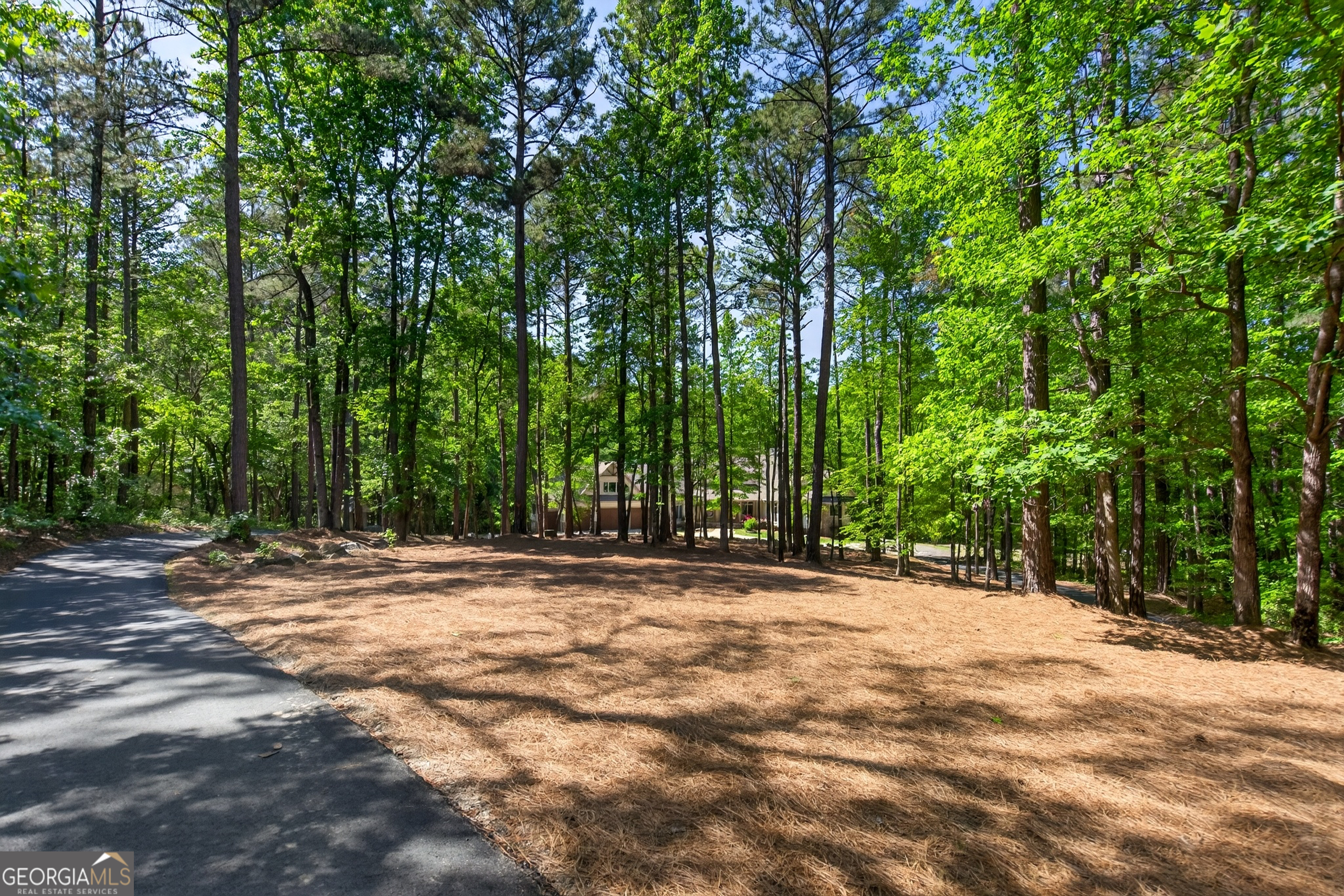 1154 Hunter Road Cataula, GA 31804 - Photo 89 of 99