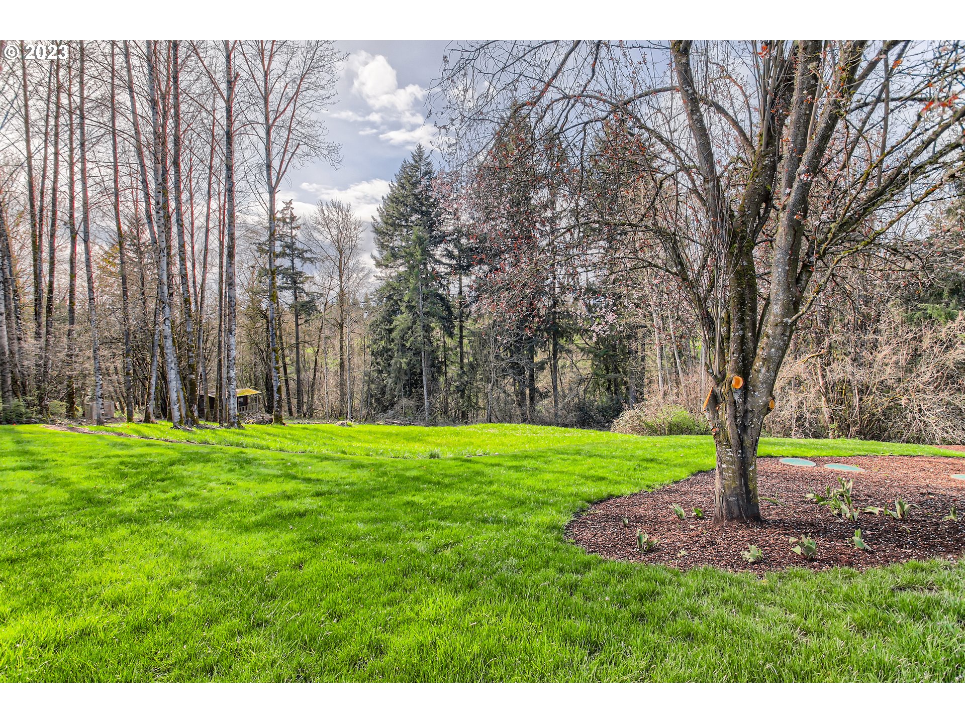 5610 Northwest 280th Street Ridgefield, WA 98642 - Photo 36 of 44 Backyard