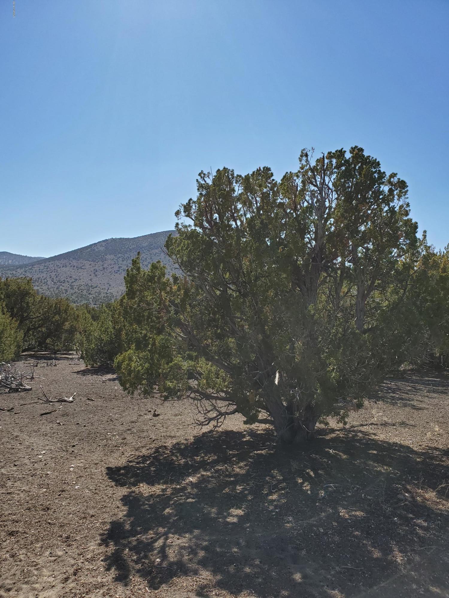 30343077 Alpine Ranch Flagstaff, AZ 86004 - Photo 2 of 5 Parcel 1