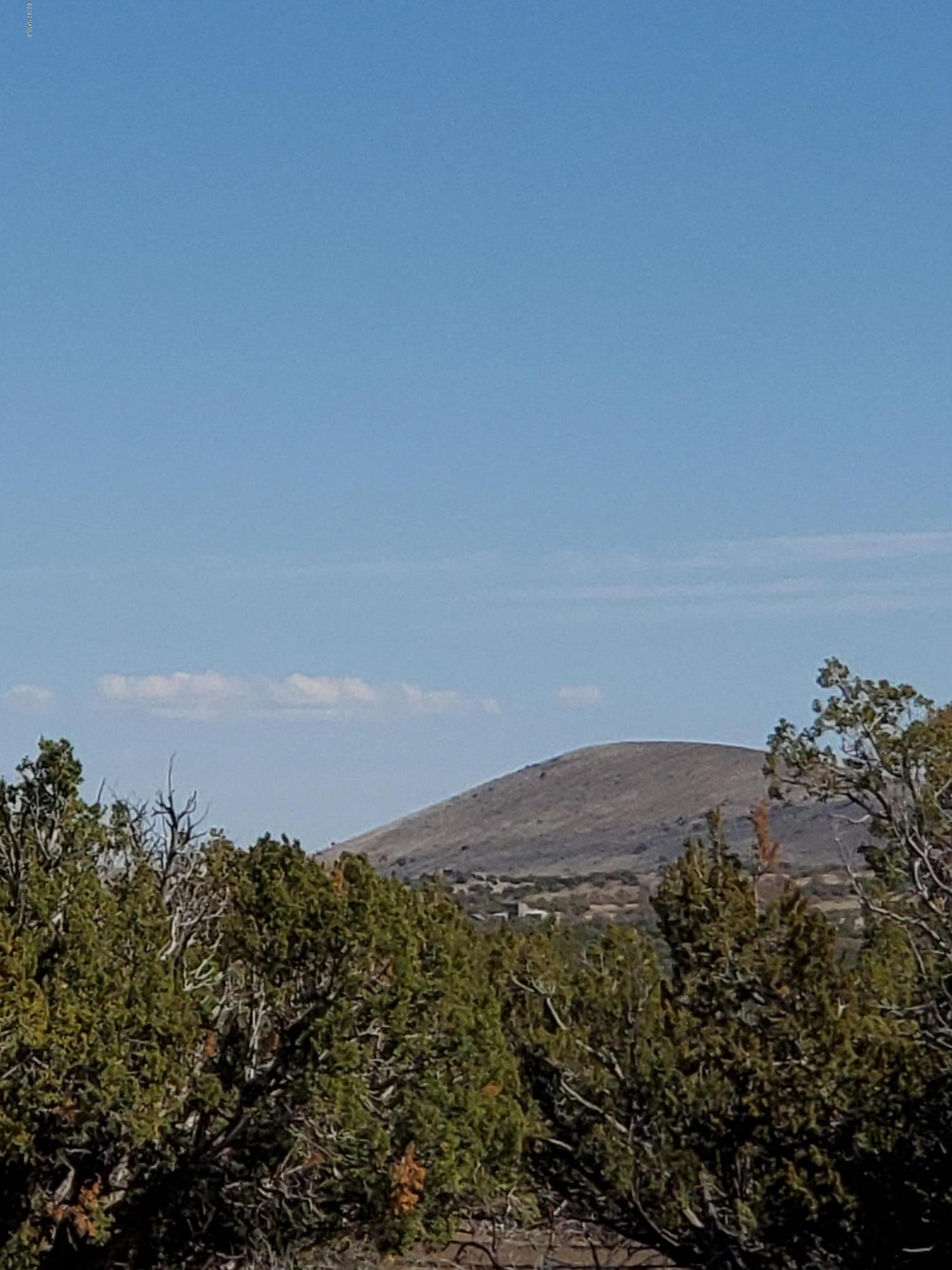 30343077 Alpine Ranch Flagstaff, AZ 86004 - Photo 5 of 5 Parcel view