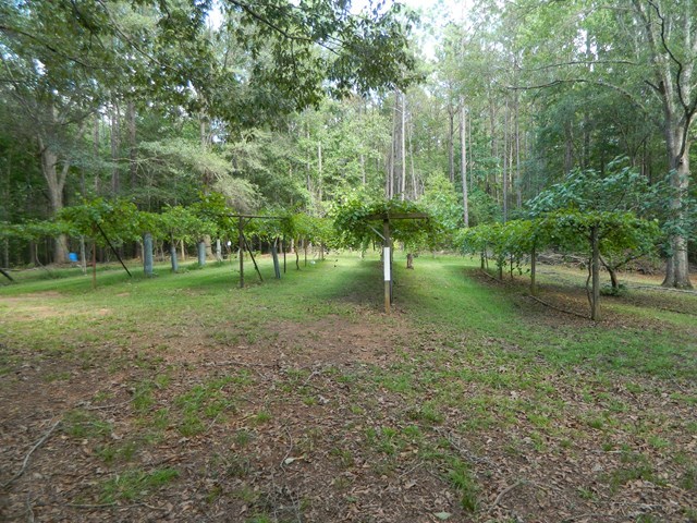 1625 Nowell Road West Macon, GA 31220 - Photo 6 of 21 a view of a park with trees