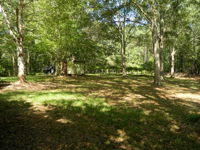 1625 Nowell Road West Macon, GA 31220 - Photo 7 of 21 a view of outdoor space with trees