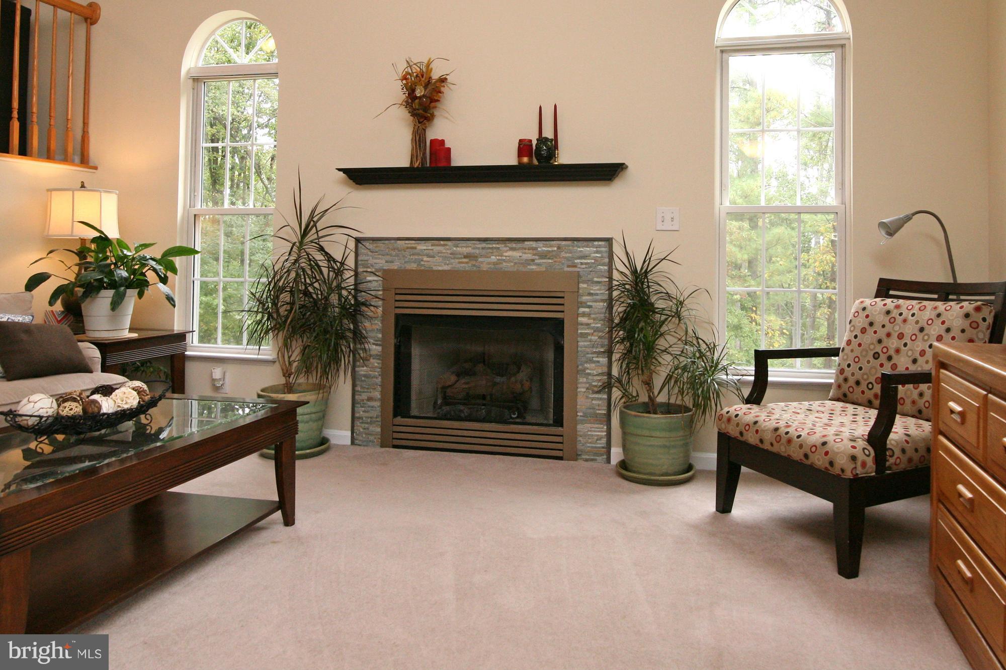 1007 Stone Road Westminster, MD 21158 - Photo 5 of 28 New Gas Fireplace Surround
