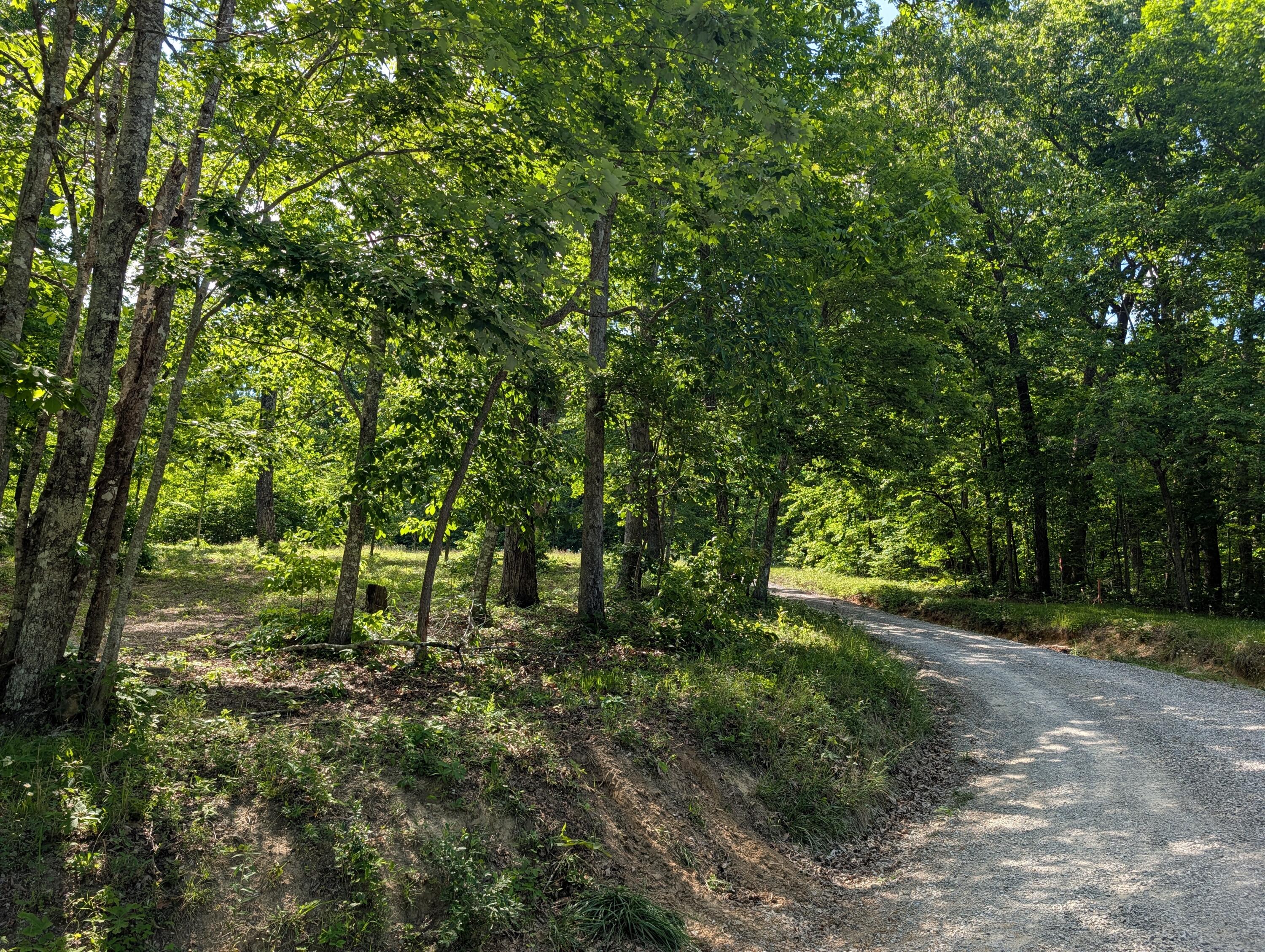 Lot 94-95 Red Oak Ln Spring Spring City, TN 37381 - Photo 10 of 10 PXL_20260518_204714078