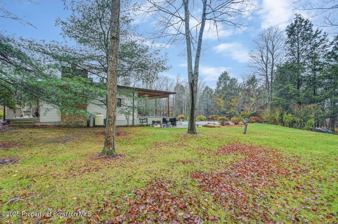 99 Main Street Gouldsboro, PA 18424 - Photo 76 of 79 a view of a tree in a yard