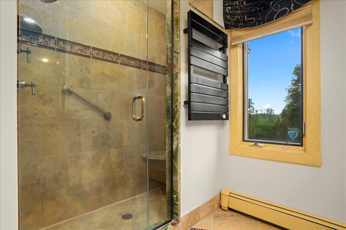1121 Swamp Road Furlong, PA 18925 - Photo 24 of 50 Spa like shower with scenic views.