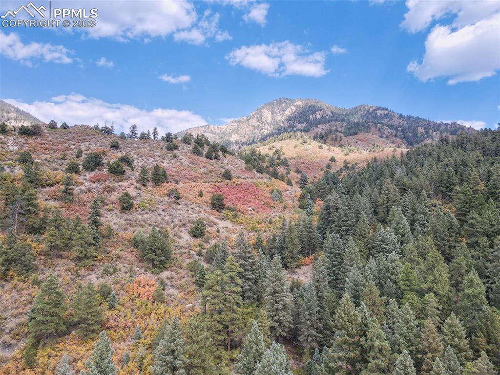 4950 Little Turkey Creek Road Colorado Springs, CO 80926 - Photo 11 of 33