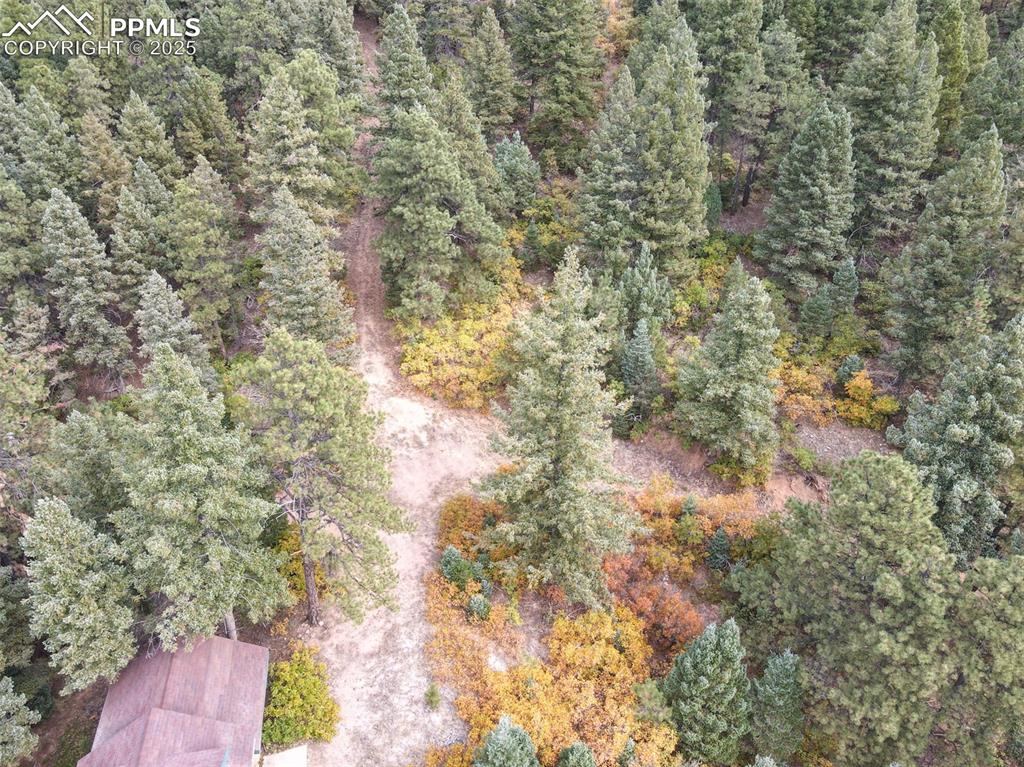 4950 Little Turkey Creek Road Colorado Springs, CO 80926 - Photo 12 of 33 a view of a yard with a tree