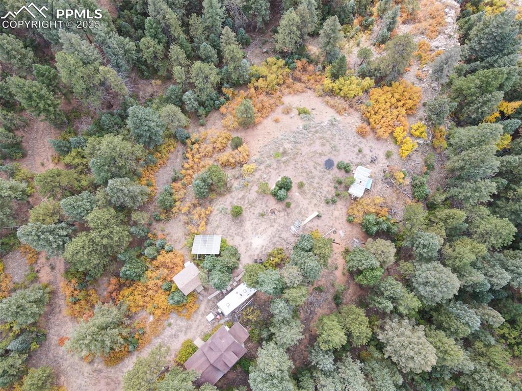 4950 Little Turkey Creek Road Colorado Springs, CO 80926 - Photo 13 of 33 a view of a yard with a tree