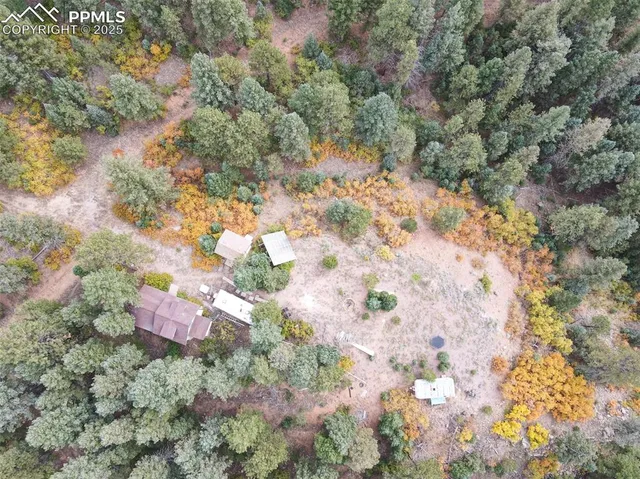 a view of a dry yard with trees