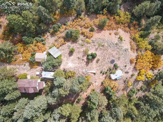 a view of a yard with a tree