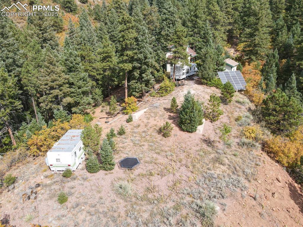 4950 Little Turkey Creek Road Colorado Springs, CO 80926 - Photo 16 of 33 a view of a dry yard with trees