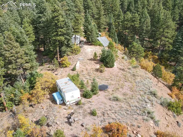 a view of a yard with a tree