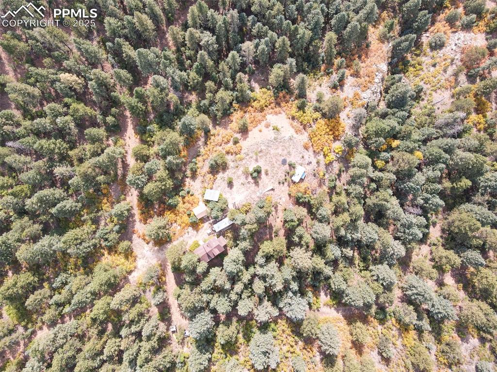 4950 Little Turkey Creek Road Colorado Springs, CO 80926 - Photo 18 of 33 a view of a yard