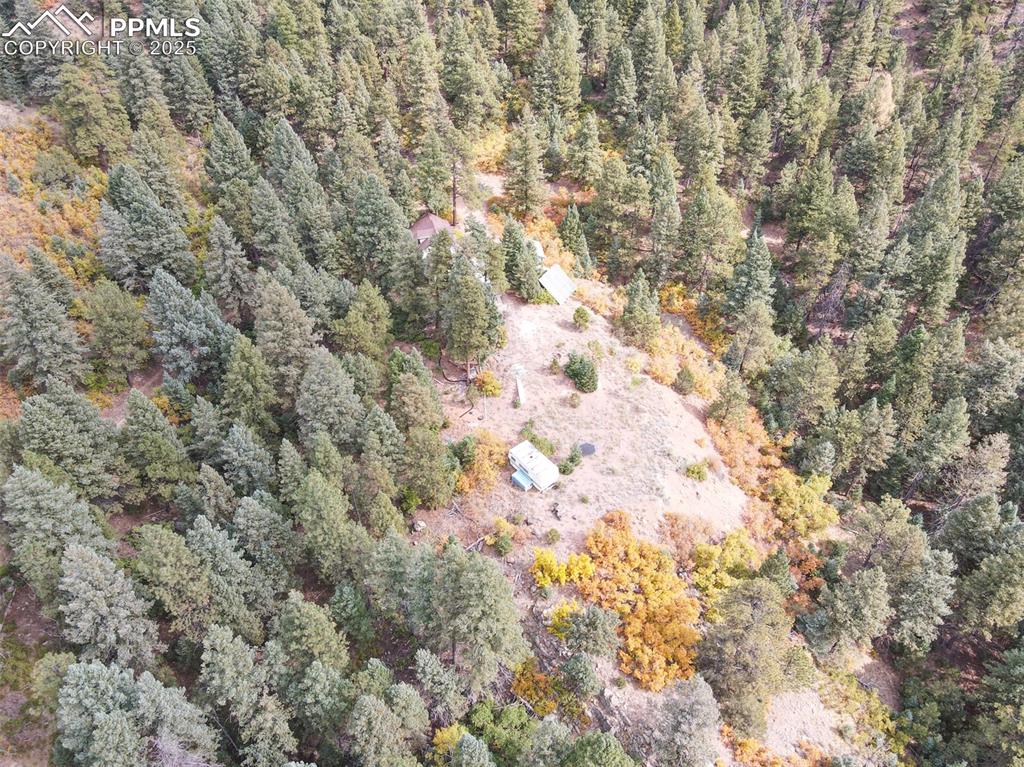 4950 Little Turkey Creek Road Colorado Springs, CO 80926 - Photo 19 of 33 a view of a yard with a tree