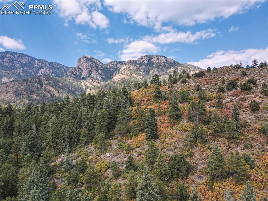4950 Little Turkey Creek Road Colorado Springs, CO 80926 - Photo 20 of 33