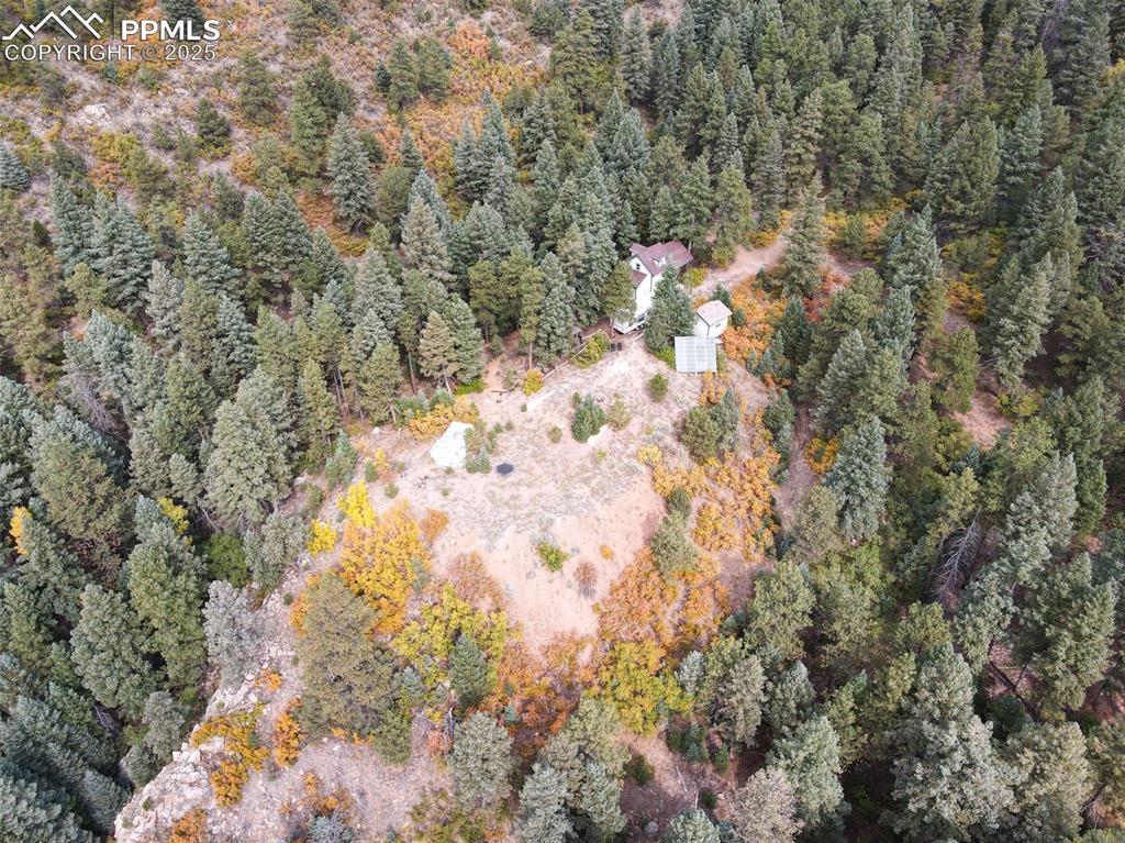 4950 Little Turkey Creek Road Colorado Springs, CO 80926 - Photo 21 of 33 a backyard of a house