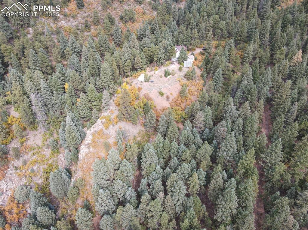 4950 Little Turkey Creek Road Colorado Springs, CO 80926 - Photo 22 of 33 a view of a yard with a tree