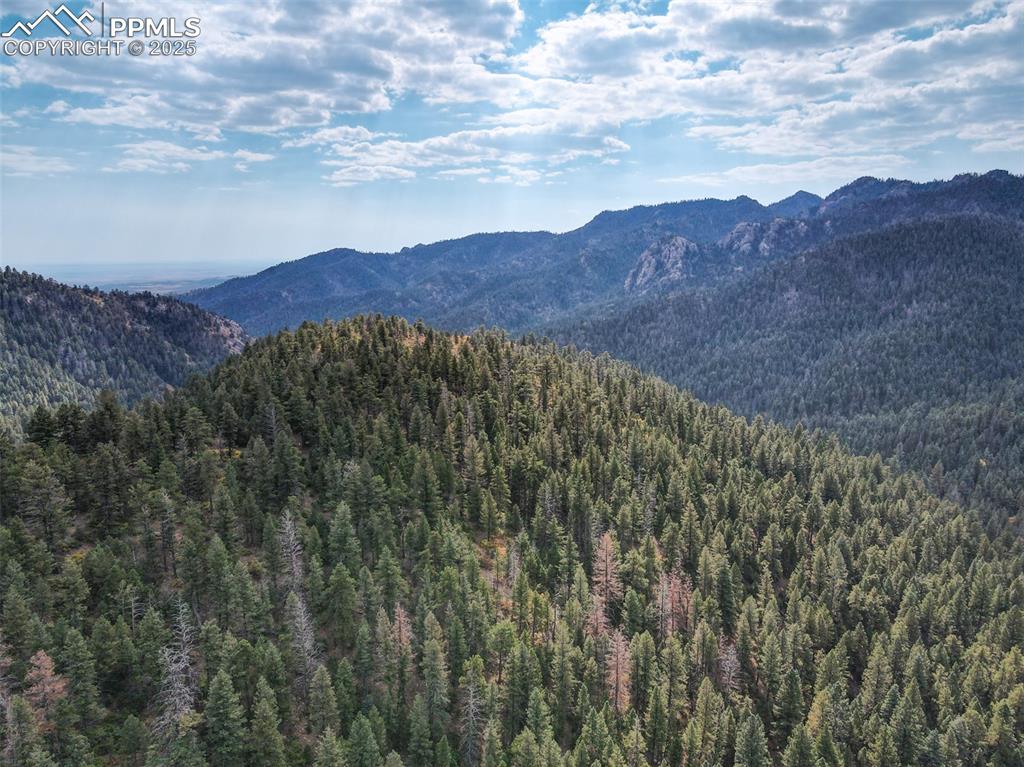 4950 Little Turkey Creek Road Colorado Springs, CO 80926 - Photo 25 of 33 a view of mountains in middle of the forest