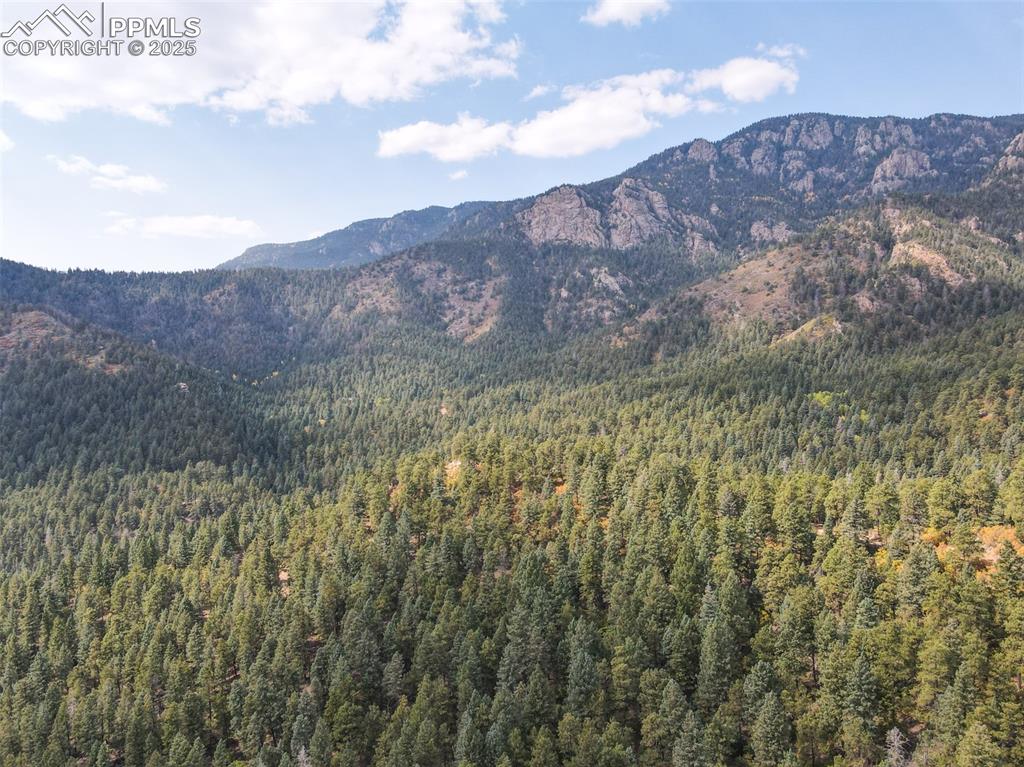 4950 Little Turkey Creek Road Colorado Springs, CO 80926 - Photo 27 of 33 a view of a dry yard with mountains in the background