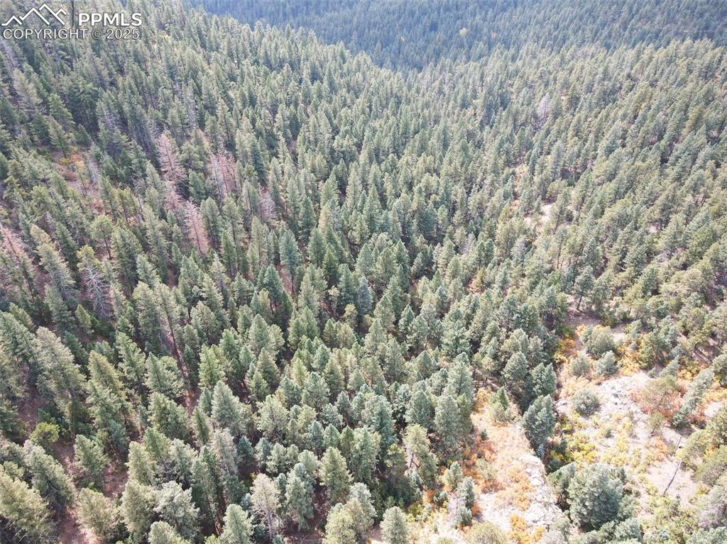 4950 Little Turkey Creek Road Colorado Springs, CO 80926 - Photo 30 of 33