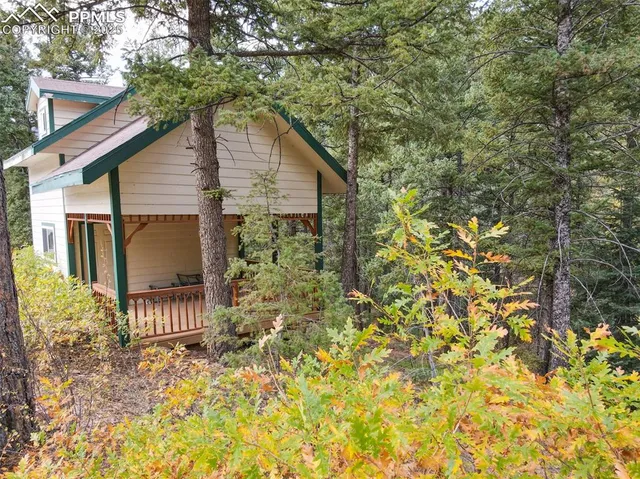a backyard of a house with plants and wooden fence